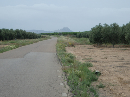 Our first view of the Castle of Almod&oacute;var del Rio (telephoto).